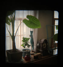 画像をギャラリービューアに読み込む, ✨PENTACON Six アイレベルファインダー✨60年前の希少アイテム・良好コンディション【完動品】