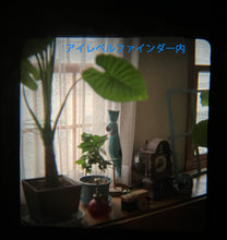 Load image into Gallery viewer, PENTACON SIX TL【完動品】中判カメラ・貴重なストラップ付きのケース付き・ファインダー選べます❗️