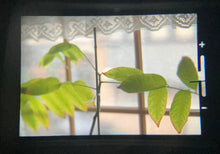 画像をギャラリービューアに読み込む, PENTAX SP(BK)【希少❗️】【完動品】再塗装済み❗️50mmF1.4 明るいタクマーレンズ付き❗️