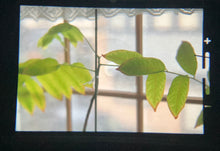 画像をギャラリービューアに読み込む, PENTAX SP(BK)【希少❗️】【完動品】再塗装済み❗️50mmF1.4 明るいタクマーレンズ付き❗️