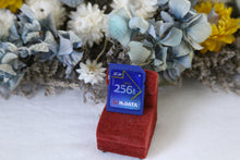 画像をギャラリービューアに読み込む, 【選べるメモリーカード各種】SDカード/CFカード/メモリースティック/xDピクチャーカード ほか対応◎