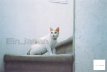 Load image into Gallery viewer, FUJICA ST801 & 55mm F1.8【完動品】希少モデル✨初心者の方にもおすすめ🔰