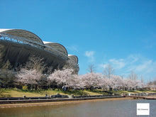 画像をギャラリービューアに読み込む, Canon Digital IXY200a【完動品】▪️オールドコンデジ▪️デジタルカメラ