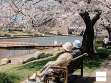 画像をギャラリービューアに読み込む, Canon Digital IXY200a【完動品】▪️オールドコンデジ▪️デジタルカメラ