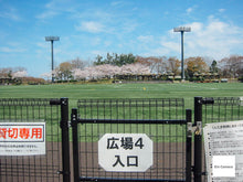 画像をギャラリービューアに読み込む, Canon Digital IXY200a【完動品】▪️オールドコンデジ▪️デジタルカメラ