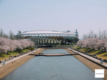 画像をギャラリービューアに読み込む, Canon Digital IXY200a【完動品】▪️オールドコンデジ▪️デジタルカメラ