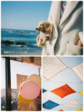 Load image into Gallery viewer, 【季節の色を撮ろう】フィルムおまかせ3本パック「📸 作例写真付き」「🎞 数量限定」「🐟期限内」