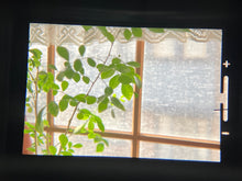 Load image into Gallery viewer, PENTAX SP(SV)ジーンズ生地👖【完動品】フィルム一眼レフカメラ&明るいタクマーレンズ付き❗️