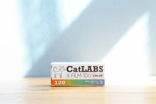 画像をギャラリービューアに読み込む, catlabsxfilm100 eincamera