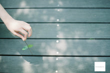 画像をギャラリービューアに読み込む, Nikon FE(BK)【完動品】人気No.1❗️王道の明るいレンズ付き❗️