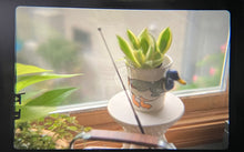 Load image into Gallery viewer, OLYMPUS OM-1 シルバー【完動品/美品✨】革変更カスタムオプション有り❗️