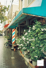 画像をギャラリービューアに読み込む, 📷【完動品】PENTAX SL & Takumar 35mm F3.5セット✨ クラシカルデザイン×信頼の描写力🖼️