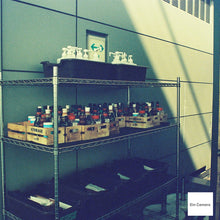 画像をギャラリービューアに読み込む, Delight Art400 120フィルム(中判カメラ用)12枚撮り【海外フィルム✈️】1本売り