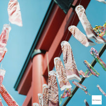 Load image into Gallery viewer, PENTACON six TL【動作品】【実写済み❗️】中判カメラ