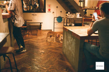 Load image into Gallery viewer, CONTAX T3 裏蓋データバック付き(日付機能)前期型【完動品】【希少❗️】