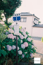 画像をギャラリービューアに読み込む, ZEISS IKON Contessa 35 Zeiss Opton Tessar 45mmF2.8【完動品】【美品❗️】