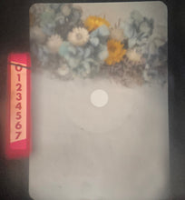 画像をギャラリービューアに読み込む, OLYMPUS PEN FT【完動品】一眼レフハーフカメラ