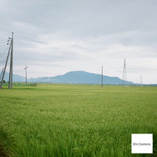 画像をギャラリービューアに読み込む, BEAUTYFLEX【完動品】中判カメラ