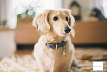 画像をギャラリービューアに読み込む, Nikon F3 HP 【完動品】【美品✨】Nikonサービス点検済み