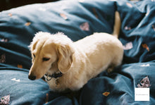 画像をギャラリービューアに読み込む, Nikon Ai 50mmF1.4【完動品】