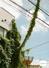 Load image into Gallery viewer, 🌿Nikon Ai 28mm F2.8✨街歩き&旅行スナップに最適な広角の明るい単焦点レンズ📷|完動品❗️