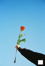 Load image into Gallery viewer, CONTAX T2 【完動品】【美品❗️】純正ハードケース&データ(日付)バック(裏蓋)付き