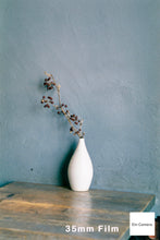 画像をギャラリービューアに読み込む, Flexaret VI【完動品】【実写済み❗️】【希少】【オーバーホール済み】