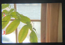 画像をギャラリービューアに読み込む, Nikon FG-20 & 50mmF1.8 明るいレンズセット❗️ 【完動品】