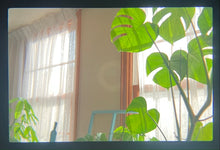 画像をギャラリービューアに読み込む, Canon AE-1PROGRAM(BK)【完動品】