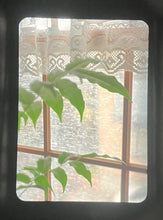 Load image into Gallery viewer, OLYMPUS PEN F 【完動品/美品✨】ハーフ一眼レフカメラ❗️レンズ40mmF1.4