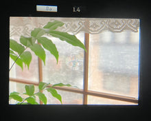 Load image into Gallery viewer, Nikon F3 & Ai NIKKOR 50mm F1.4【完動品 / 超美品✨】 Nikon最高峰❗️フラッグシップフィルムカメラ📸