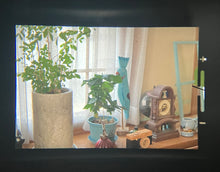 Load image into Gallery viewer, 🎞 PENTAX SPF & Takumar 55mm F1.8 レンズ付き❗️露出計不動【動作品・整備済み】