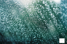 画像をギャラリービューアに読み込む, Minolta SRTSUPER【完動品】