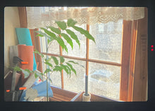 画像をギャラリービューアに読み込む, 📸 Nikon FG & Ai 28mm F3.5【実写済み・コンパクトで軽量❗️初心者さんにもぴったり】✨