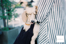 画像をギャラリービューアに読み込む, Konica III【完動品】