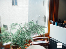 画像をギャラリービューアに読み込む, Canon PowerShot A40|昭和レトロな写り📸明るいレンズ×初心者安心セット【CFカード付き】