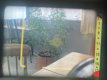 画像をギャラリービューアに読み込む, Minolta Hi-Matic 7s ハニーバター🍯🧈🐝【完動品】