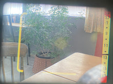 画像をギャラリービューアに読み込む, Minolta Hi-Matic 7s ハニーバター🍯🧈🐝【完動品】