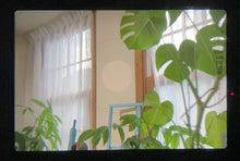 画像をギャラリービューアに読み込む, Nikon FG【完動品】初心者の方にもお勧め一眼レフフィルムカメラ