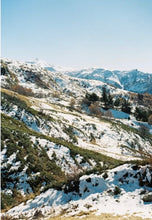 Load image into Gallery viewer, Rollei B35(BK)【完動品】状態⭕️SINGAPORE(シンガポール)製