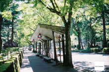 画像をギャラリービューアに読み込む, Minolta 7s Castagna🌰【完動品】