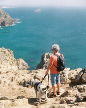 Load image into Gallery viewer, Rollei B35(BK)【完動品】状態⭕️SINGAPORE(シンガポール)製