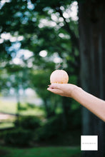 画像をギャラリービューアに読み込む, OLYMPUS 35SP【希少✨ブラックボディ🐦⬛】【完動品】【美品❗️】