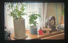 画像をギャラリービューアに読み込む, OLYMPUS OM-1 ブラックボディ ✨明るいパンケーキレンズ付き【完動品】🐦⬛🥞