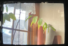 画像をギャラリービューアに読み込む, EXAKTA VAREX llb【完動品】カールツァイスレンズ付き❗️