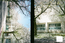 画像をギャラリービューアに読み込む, Konica RECORDER 希少❗️天然木リメイク 単三電池で動く全自動ハーフカメラ🎞️📷