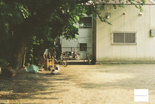 画像をギャラリービューアに読み込む, Canon 旧F-1 & FD50mmF1.4s.s.c【完動品】