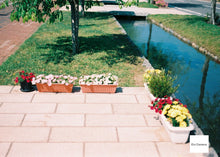 画像をギャラリービューアに読み込む, 運試し❗️期限切れフィルム ランダム【送料無料】【期限切れ】フィルムケースなし・1本売り/35mmカラーフィルム