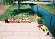 画像をギャラリービューアに読み込む, 【季節の色を撮ろう】フィルムおまかせ3本パック「📸 作例写真付き」