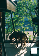 画像をギャラリービューアに読み込む, OLYMPUS PEN FT【完動品】ハーフ一眼レフカメラ